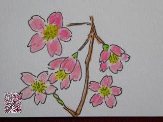 o様の桜の絵手紙